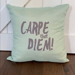 Mint Green Accent Pillow